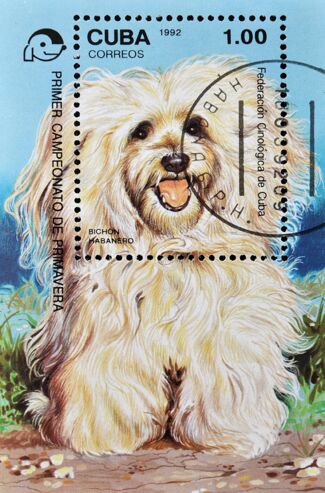 Briefmarke Cuba 1992